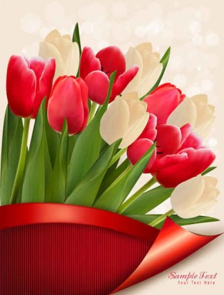красочные тюльпаны Векторные цветы