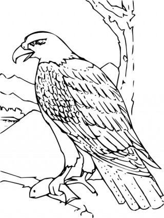 clipart de águia de livro de colorir