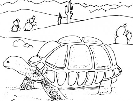 livro de colorir clipart de tartaruga do deserto