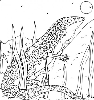 Coloriage livre moniteur gecko clipart