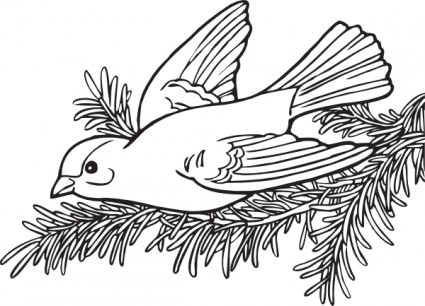 mewarnai buku willow goldfinch clip art
