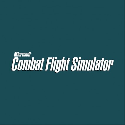 Combat flight simulator