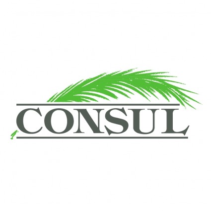 Konsul