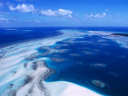 Mundial de australia de fondos de arrecife de coral