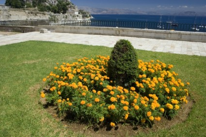 Parque da cidade de Corfu