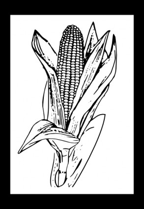 clip art de maíz