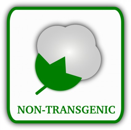 kapas bebas transgenik