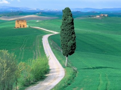 Land Straße Toskana Tapete Italien Welt