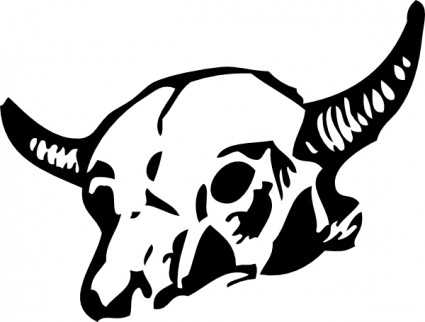 crâne image clipart vache