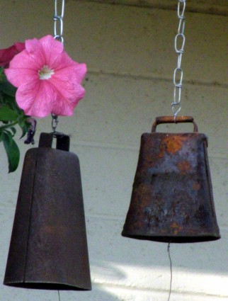 Cowbells And Flower