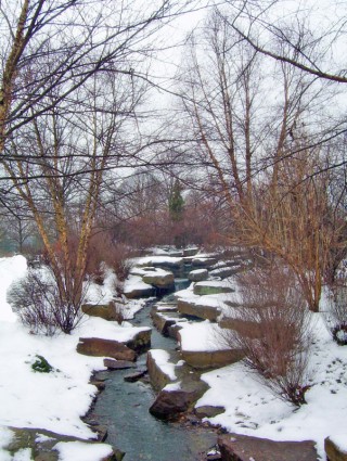 Creek e neve