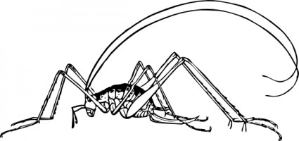 cricket clip nghệ thuật