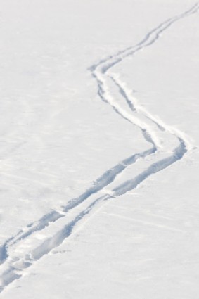 مسارات التزلج عبر البلاد