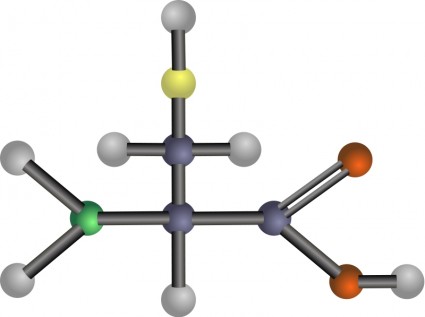 aminokwas cysteina