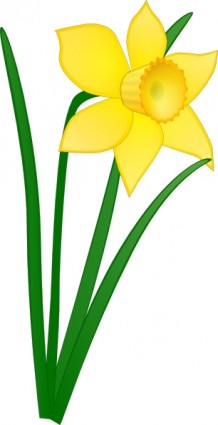 Daffodil clip nghệ thuật