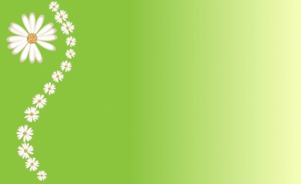 綠色背景上的雛菊
