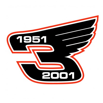Dale Earnhardt Wings