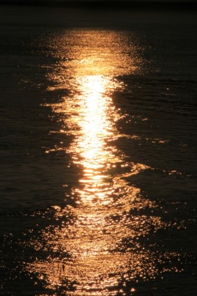 Danubio reflejando la reflexión