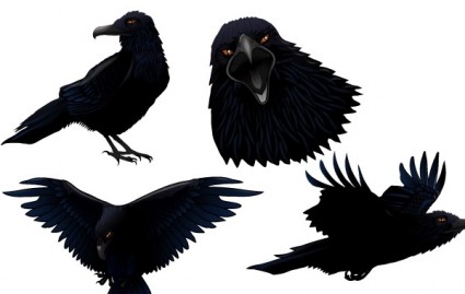 Темный twitter птица
