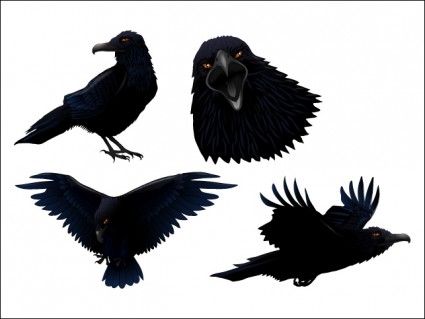 黑暗的 twitter 的鳥