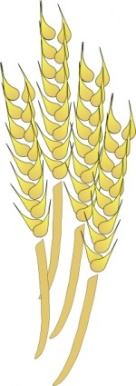 Davosmith Wheat Clip Art