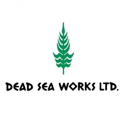 travaux de la mer morte