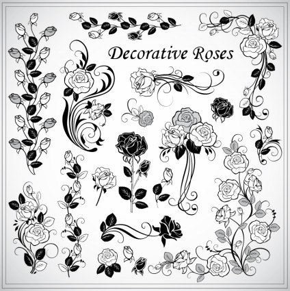 vector patrón decorativo de la rosa