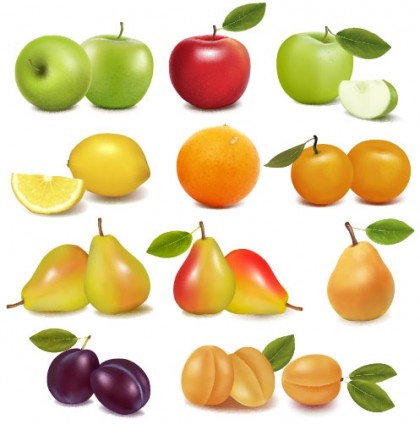 vettore frutto delizioso