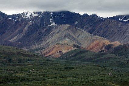 naturaleza de alaska Denali