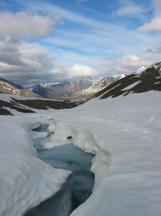 데날리 국립공원 알래스카 겨울