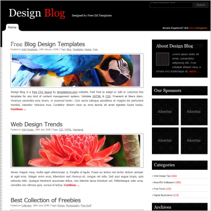thiết kế blog