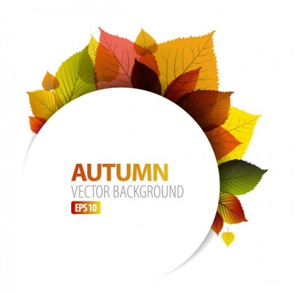 Design Vector Graphics Autumn Leaf