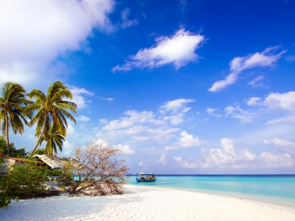 Dhiggiri Inselwelt Tapete Malediven