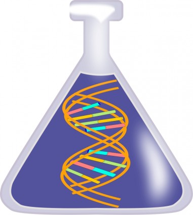 DNA dalam botol