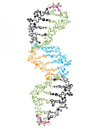 Cadeia de DNA