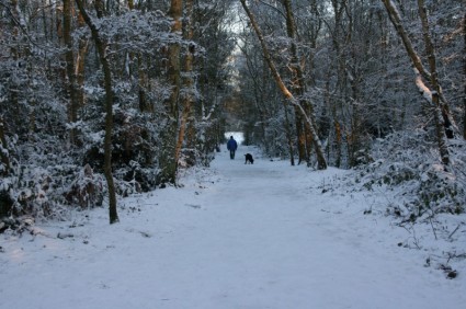 dueño del perro amp en paseo cubierto de nieve