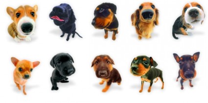 pacote de ícones de ícones de cães