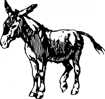 clip art de burro