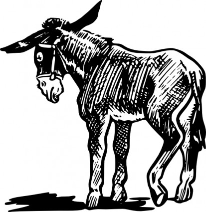 Donkey phác thảo trong màu đen và trắng clip nghệ thuật