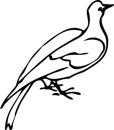 Colombe clipart