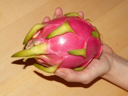 Drachen Frucht Pitahayas pitaya