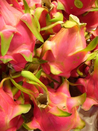frutto del drago frutta pitaya