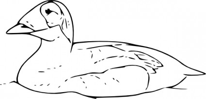 Pato natação clip-art