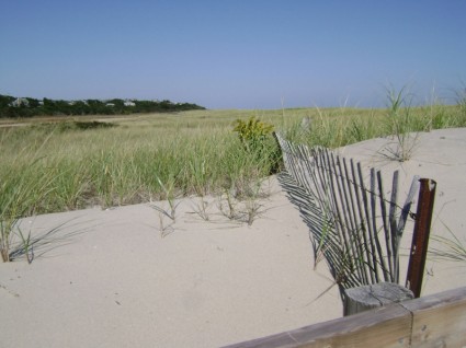 砂丘とフェンス