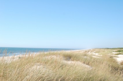 océan de dunes dune