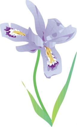 lùn lake iris clip nghệ thuật