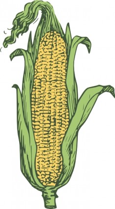 telinga dari jagung berwarna clip art