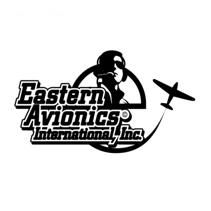 Timur avionik internasional