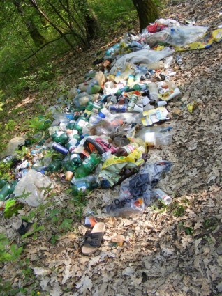 Ökologie-Wald-Müll