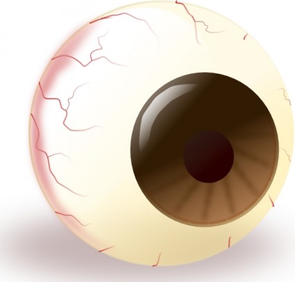 Ecuabron braun Auge-ClipArt
